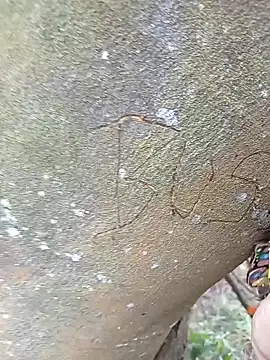 BELLA--26 online show from 02/02/25, 03:07