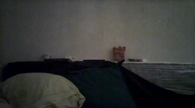 Snapshot of javierpasteur69 chatting on 02/15/25, 10:22 javierpasteur69 online show from 02/15/25, 10:22