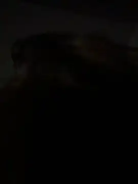 Snapshot of Kitty_DaCocks chatting on 01/07/26, 12:13 Kitty DaCocks online show from 01/07/26, 12:13