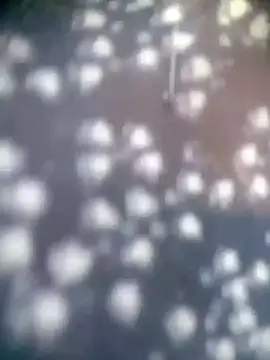 Amaya Bajwa online show from 11/15/25, 04:32