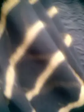 Amaya Bajwa online show from 12/15/25, 04:39