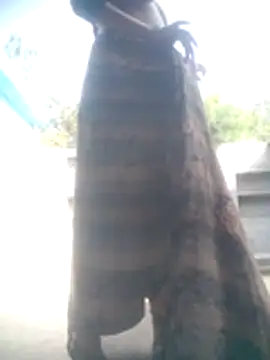 Amaya Bajwa online show from 02/11/26, 09:14