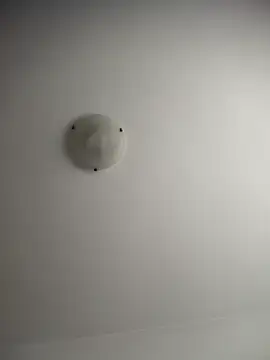 NNNoire online show from 12/20/25, 10:33