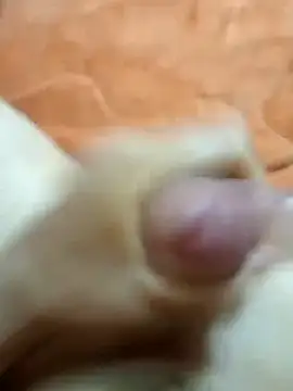 mmarvis za78 93 21cm online show from 01/25/25, 08:21