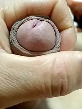 mmarvis za78 93 21cm online show from 02/23/25, 03:24