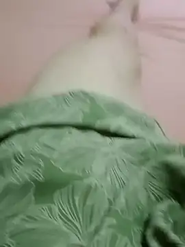 curtindo-muito82 online show from 02/11/26, 12:26