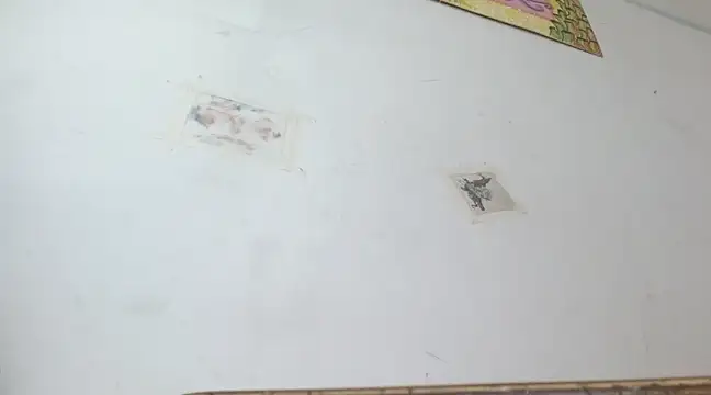 Snapshot of boysLittle chatting on 02/14/25, 10:04 boysLittle online show from 02/14/25, 10:04