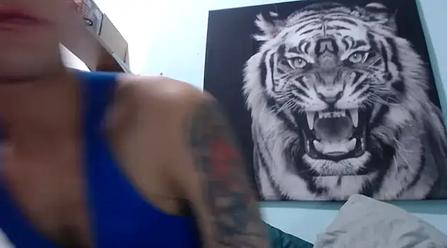 Snapshot of dany_hardy chatting on 02/04/25, 04:15 dany hardy online show from 02/04/25, 04:15