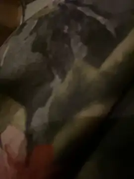 QTeepye online show from 02/19/26, 04:41