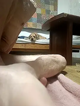 Snapshot of Bisexualhard23 chatting on 01/18/26, 12:58 Bisexualhard23 online show from 01/18/26, 12:58