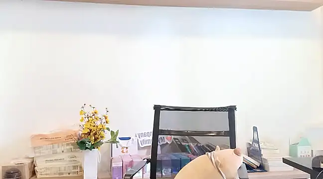 Snapshot of Lush-Office chatting on 03/12/25, 07:57 Lush-Office online show from 03/12/25, 07:57