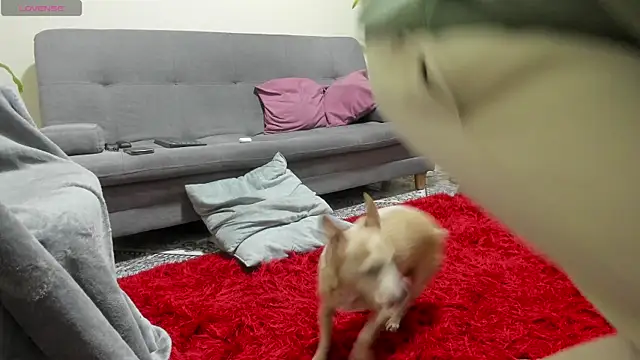 Salvatore costa online show from 09/19/25, 12:34