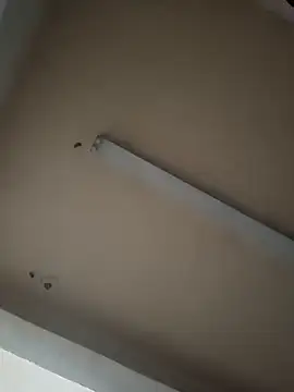 Snapshot of boyvergon chatting on 01/17/25, 06:36 boyvergon online show from 01/17/25, 06:36