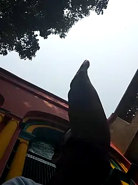 Snapshot of xx54362 chatting on 03/01/25, 07:19 xx54362 online show from 03/01/25, 07:19