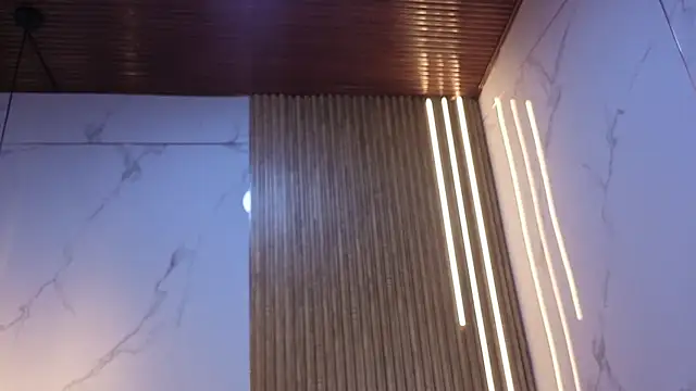 Kitten Cam online show from 06/11/26, 04:10