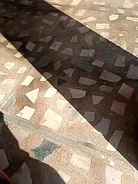 Raj41 online show from 11/13/25, 04:44