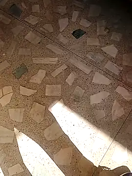 Raj41 online show from 11/19/25, 04:34