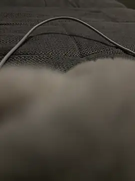 Snapshot of hengst2312 chatting on 01/20/25, 06:10 hengst2312 online show from 01/20/25, 06:10