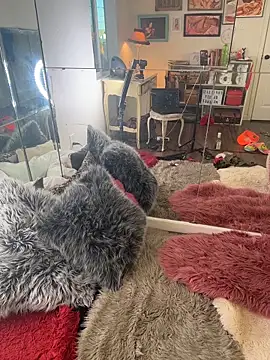 Snapshot of I_am_babydoll chatting on 03/04/26, 12:49 I am babydoll online show from 03/04/26, 12:49