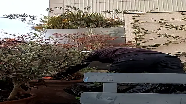 Vyda4 online show from 11/17/25, 08:31