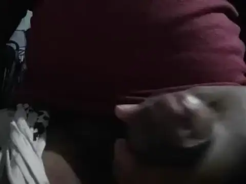 Snapshot of lolboy1234Z chatting on 01/23/25, 03:54 lolboy1234Z online show from 01/23/25, 03:54