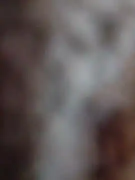 Snapshot of mhmia chatting on 02/12/26, 03:51 mhmia online show from 02/12/26, 03:51