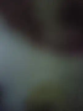 Snapshot of randit7 chatting on 11/10/25, 04:22 randit7 online show from 11/10/25, 04:22