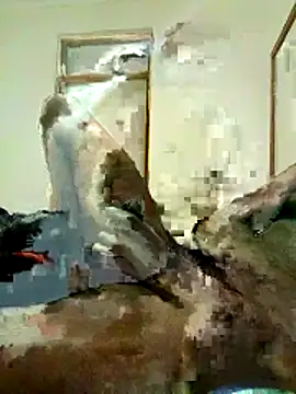 babyboy tee online show from 04/29/26, 08:48