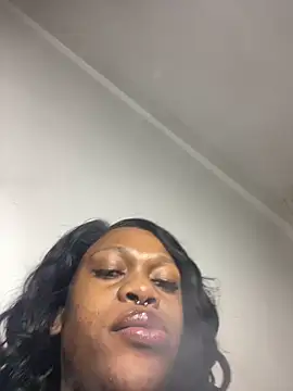 Boneca25 online show from 04/25/26, 08:28