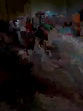 Snapshot of Ariba270 chatting on 11/01/25, 09:55 Ariba270 online show from 11/01/25, 09:55