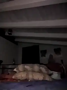 divinaerotica online show from 11/02/25, 05:48