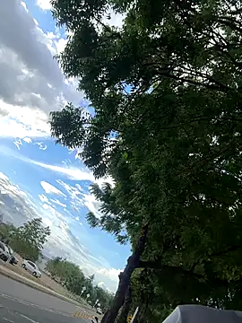 arevalo1124 online show from 11/26/25, 09:27