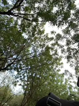 arevalo1124 online show from 12/02/25, 09:10