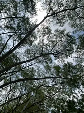 arevalo1124 online show from 12/18/25, 03:29