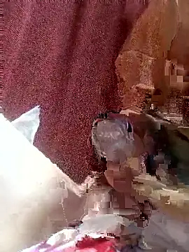 Snapshot of baixinhainsaciavel23 chatting on 11/03/25, 12:17 baixinhainsaciavel23 online show from 11/03/25, 12:17