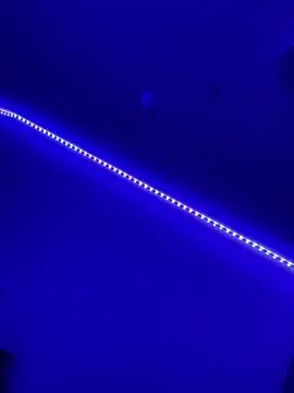 Snapshot of DaniJohnson chatting on 02/07/25, 03:19 DaniJohnson online show from 02/07/25, 03:19