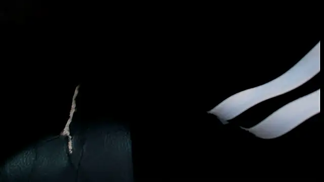 Snapshot of roan_birkin chatting on 06/11/26, 12:32 roan birkin online show from 06/11/26, 12:32