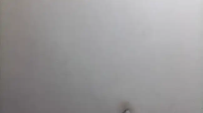 beatle666 online show from 02/26/25, 02:15