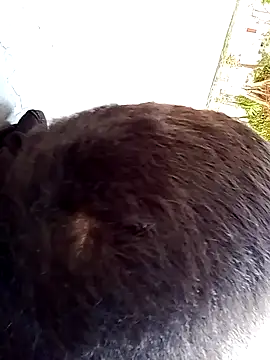 Snapshot of Elgroney23 chatting on 12/19/25, 04:58 Elgroney23 online show from 12/19/25, 04:58