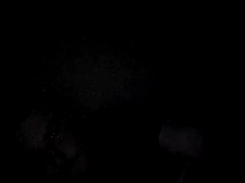 Snapshot of Foxtrott_242 chatting on 09/08/25, 11:48 Foxtrott 242 online show from 09/08/25, 11:48