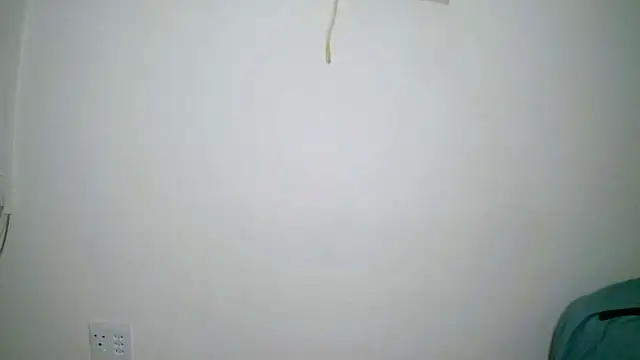 Cuddle Bear online show from 02/11/25, 11:12