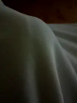 Arabian online show from 02/17/25, 08:47