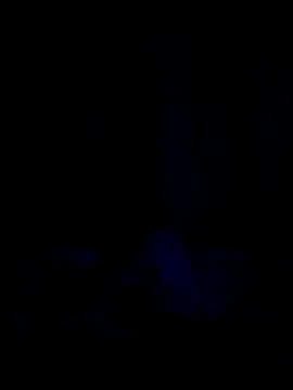 Snapshot of vitor777_ chatting on 04/07/26, 06:03 vitor777 online show from 04/07/26, 06:03