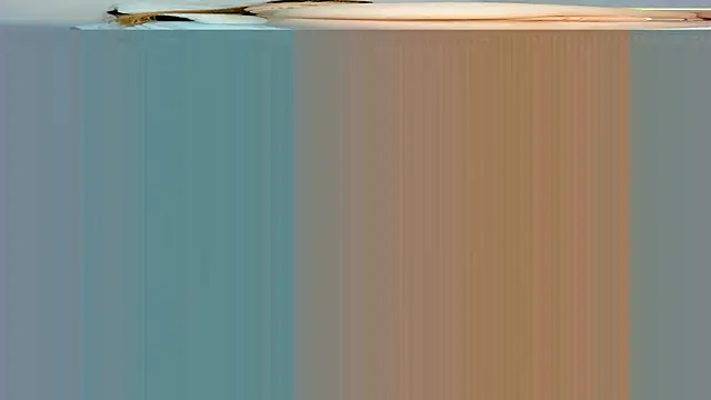 Snapshot of rouss_witt chatting on 03/07/25, 11:27 rouss witt online show from 03/07/25, 11:27