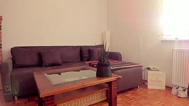 Snapshot of molicaremolicare chatting on 11/06/25, 07:31 molicaremolicare online show from 11/06/25, 07:31