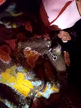 PPP 25 online show from 11/14/25, 01:54