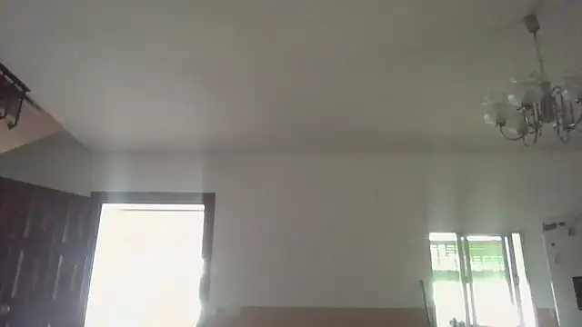 llopaco online show from 06/20/26, 10:18