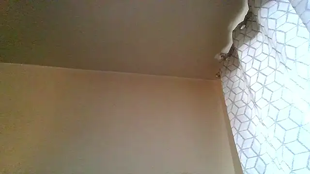 guccititi online show from 11/20/25, 07:13