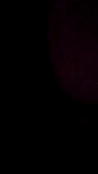 Snapshot of salchichon_69 chatting on 03/11/26, 08:31 salchichon 69 online show from 03/11/26, 08:31