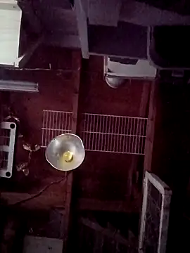 Snapshot of salchichon_69 chatting on 03/31/26, 02:28 salchichon 69 online show from 03/31/26, 02:28